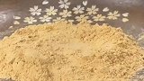 驴打滚制作，诱人的是那外面的包裹粉面