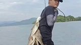 路亚能钓这么多鱼，这不太可能啊