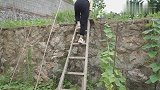 湖南姑娘独居大山深处，养了鸡种了蔬菜，客人来了上桌都是家常菜