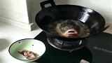 广东媳妇第一次做的鱼头，喷油的鱼头我还是第一次见，你们见过吗