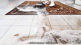 你绝对没看过的地毯清理，超级无敌解压！