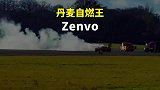 跑车自燃王应该非它莫属了，自燃多次估计和消防队有合作吧？