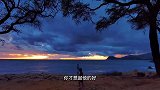 “这山河烂漫 秋风暖阳 人间朝暮 你愿不愿意和我一起看看”