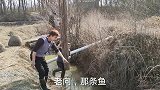 河道意外发现凶猛大鱼，老哥竹排拍出罕见大鱼，村里人说少见