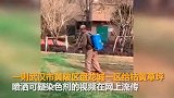 小区草坪喷洒可疑染色剂造假？开发商回应：增绿剂