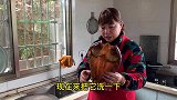 省城很火的一条腊鲢鱼，今天曾姨用最家常的方法烹饪，味道好极了