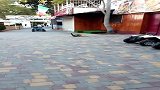 2只猫咪打起来了，这出招速度你们看得清吗