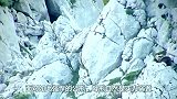 为保护幼崽，母熊和公熊在悬崖上打架，结局真是大快人心！