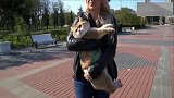 主人带猫咪出去散步，猫咪来到外面高兴坏了：原来朕的江山这么大
