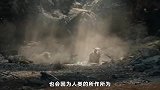 8个报复人类的动物，聪明的大猩猩专门破坏偷猎者布下的陷阱