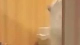 心机猫咪见到买主，秒变夹子音