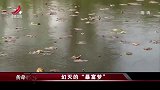传奇：姑娘被男友诈骗报警，谁料被催债差点崩溃，真相很意外