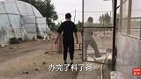 农民王小：时隔7个月儿子开学，全家站着吃“姚明”版火锅，过瘾