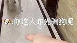 这哈有点皮。