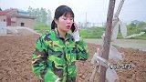 农村姑娘接到骗子推销电话，开口就把骗子思路打乱了，这对话真逗