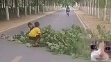 哥哥带弟弟一起，挪开挡道的树枝