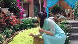 花儿啊！你慢些开，我在丽江等待的人，他还没来……