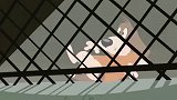 新猫和老鼠：巴克利回来报仇了 小心一点汤姆