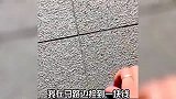 盘点假期出游的社死瞬间