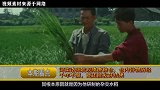 河南洛阳发现隋唐粮仓，仓内粮食历经千年却不腐，竟还能发芽结果