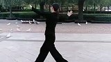 慢三步，白鸽相伴，美不甚美