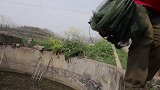 小伙用美食讨丈母娘欢心，太有才了！