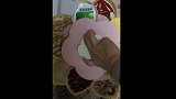 过年了，家里糖果零食用这个花瓣糖果盒，好看又好用