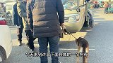 狗市再次见证“鲤鱼的眼泪”，“爱狗人士”惨遭打脸，假慈悲