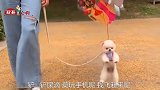 搞笑视频：室友胆子有点小啊，开个门就把她吓成这样