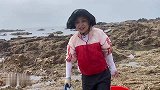 海浪冲上好多大海螺！海螺里都是宝啊！