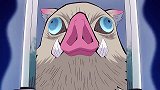 鬼灭之刃：我太喜欢这只猪猪了