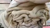 长成这样真是绝了，这狗子究竟是什么品种？
