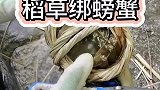 稻草捆螃蟹