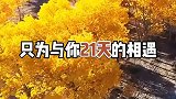 额济纳胡杨林，七日游玩攻略