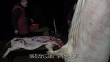 二流子去帮忙杀年猪，还亲自掌勺炒拿手菜猪肝，简单吃一顿刨猪饭