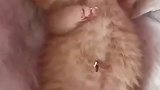 这小猫咪是做啥噩梦了呢