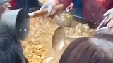 工地上师傅的大锅菜，大哥拿盆装，结果可想而知被打了！