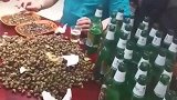 这是南方人的下酒菜，这田螺和酒量有点不对称啊