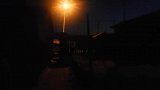 夜间喂10几条流浪狗，一锅粥10个罐头，终于吃饱了