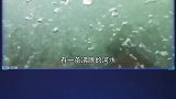 4个违背科学的地方