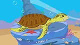 乐儿科学小百科 第11集 神奇海洋 龟中之王