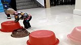 萌娃无所不能，盆子都能玩出新花样，真是佩服呀