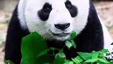 世界第一！中国已拥有14项世界自然遗产，网友：大美中国！好想去看看