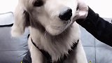 求大壮内心阴影面积