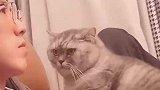猫咪趴在男主人身上取暖，用挑衅的眼神看着女主人
