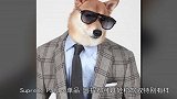 盘点4大狗中超模！比人类还会摆pose的狗？