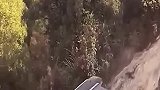 这越野司机胆子是真大