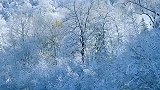 一起去东北看场银白烟火