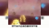 宠物冷知识，狗狗为什么会得糖尿病？奇怪的知识又增加了