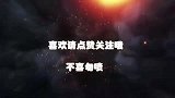 羊驼：不需要追随太阳，你也可以自己发光
